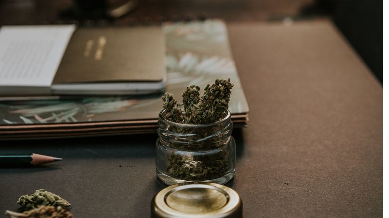 Indústria da maconha projeta gerar US$ 4 bilhões nos próximos cinco anos. (Foto: Pexels)