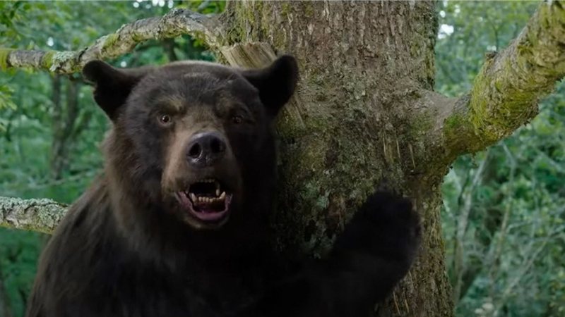 Cenas de 'O Urso do Pó Branco' (Foto: reprodução)