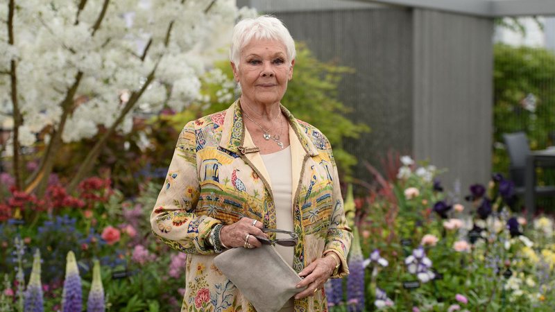 Judi Dench (Foto: Jeff Spicer/Getty Images)