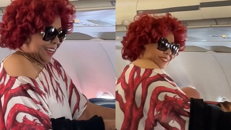 Alcione cantou os versos "Não deixe o samba morrer” para os passageiros de um avião (Foto: reprodução/ redes sociais)