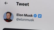 Conta de Elon Musk no Twitter/X (Foto: Scott Olson/Getty Images)