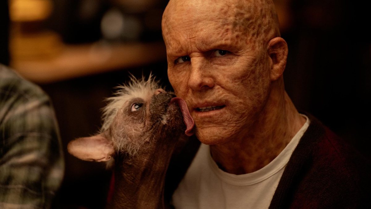 Dogpool é vivido por "cachorra mais feia do Reino Unido" em Deadpool & Wolverine (Foto: Divulgação/Marvel Studios)