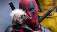 "Deadpool é o único capaz de fazer aquilo", diz Ryan Reynolds sobre "regras" do filme (Foto: Divulgação/Marvel Studios)