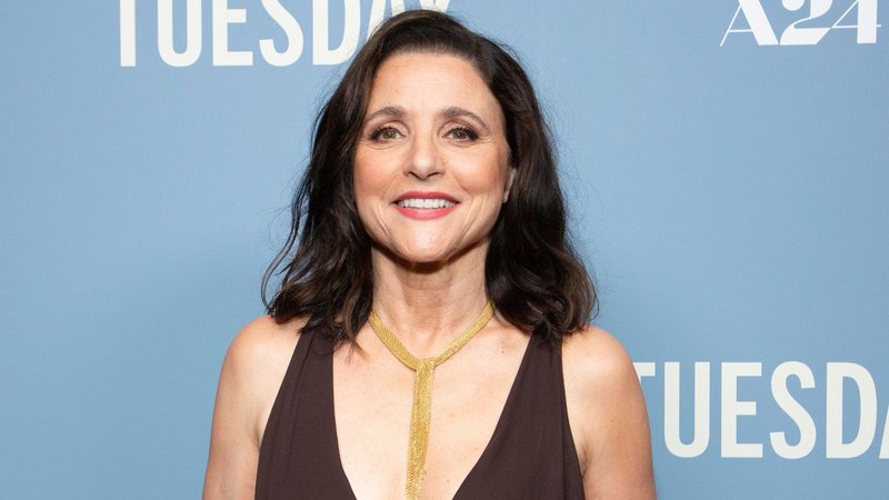 Julia Louis-Dreyfuss(Foto: Santiago Felipe/Getty Images)