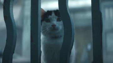 Qual é a importância do gato Frodo em Um Lugar Silencioso: Dia Um? Diretor responde - Divulgação/Paramount Pictures