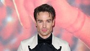 Liam Payne (Foto: Karwai Tang/WireImage)