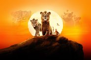 Mufasa: O Rei Leão ganha data de estreia no Disney+ - Divulgação/Disney