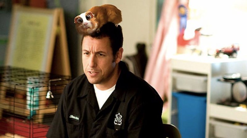 Adam Sandler (Foto: Reprodução /Twitter)