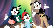 Os Animaniacs (Foto: Reprodução)