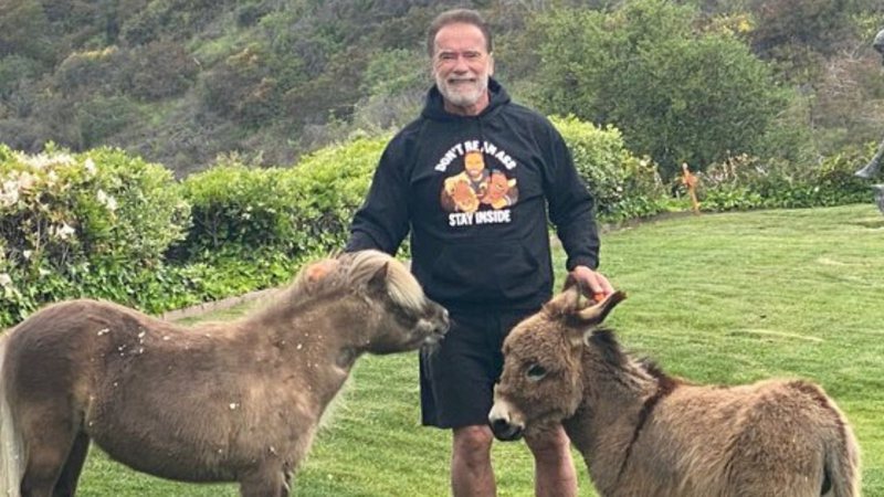 Arnold Schwarzenegger com os burros de estimação (Foto: Reprodução/Twitter)