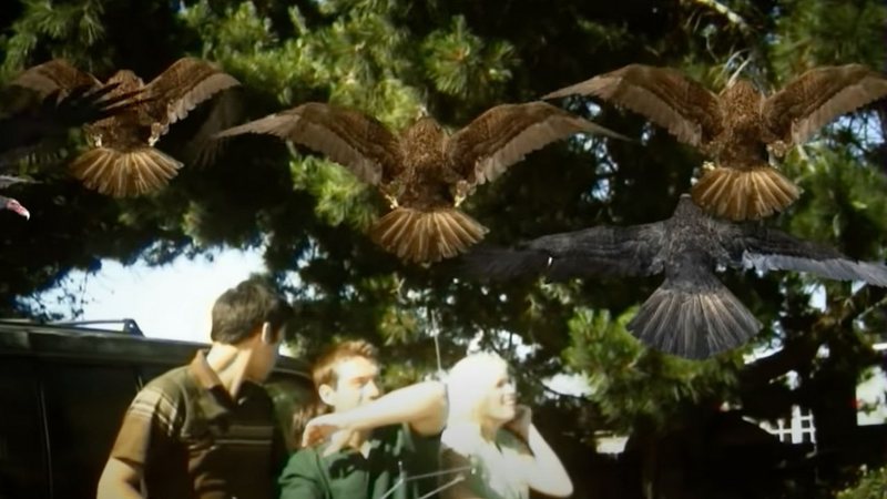 Birdemic: Choque e Terror (Foto:Reprodução)