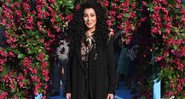 Cher (Foto: Getty Images / Stuart C. Wilson / Correspondente)