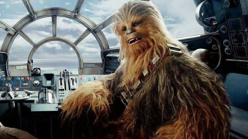 Imagem É você, Chewbacca? Urso 'canta' e fãs de Star Wars comparam com a voz do personagem