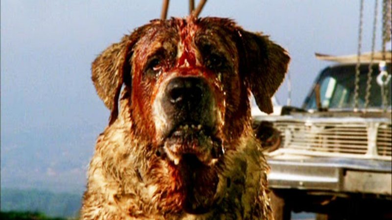 Cujo (Foto: Divulgaçã/ Netflix)