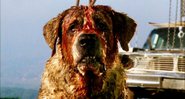 Cujo (Foto: Divulgaçã/ Netflix)