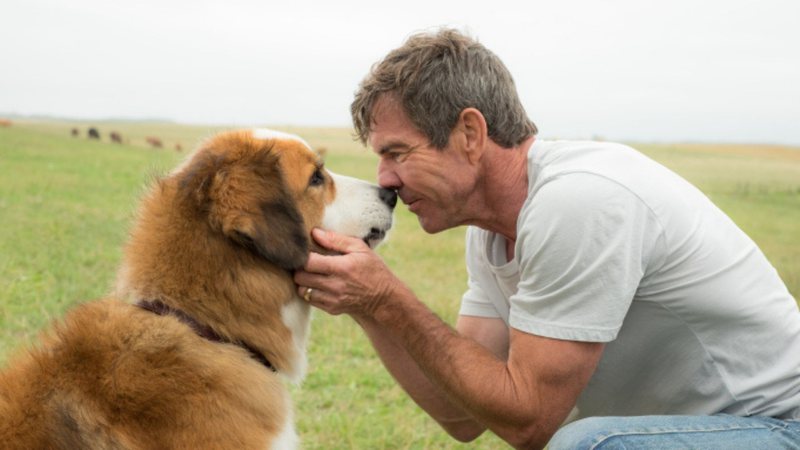 Dennis Quaid em Juntos Para Sempre (Foto: Divulgação)