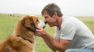 Dennis Quaid em Juntos Para Sempre (Foto: Divulgação)