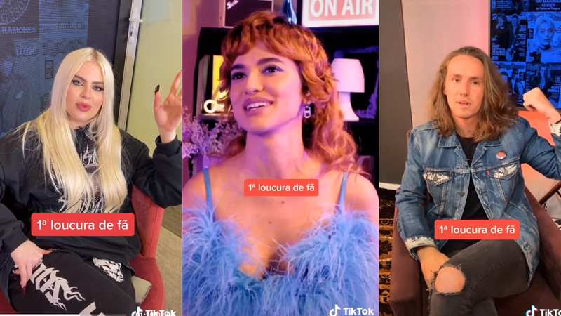 Artistas revelam as maiores loucuras já feitas por um fã - Reprodução/TikTok