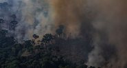 Fogo na Amazônia em agosto de 2019 (Foto: Victor Moriyama/Getty Images)