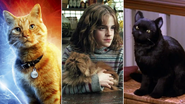 Goose em Capitã Marvel (Foto: Reprodução / Marvel) | Hermione Granger e Bichano em Harry Potter (Foto: Reprodução / Warner) | Salem Saberhagen em Sabrina: Aprendiz de Feiticeira (Foto: Reprodução)