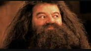 Robbie Coltrane como Hagrid em Harry Potter (Foto: reprodução / Warner)