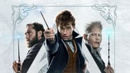 Pôster para Animais Fantásticos: Os Crimes de Grindelwald (Foto: Divulgação / Warner)