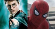 Harry Potter (Foto: Divulgação / Warner Bros.) Homem-Aranha (Foto: Reprodução/Marvel)