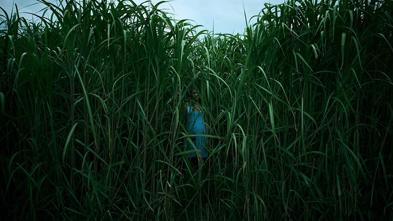 Campo do Medo (Foto: Reprodução)