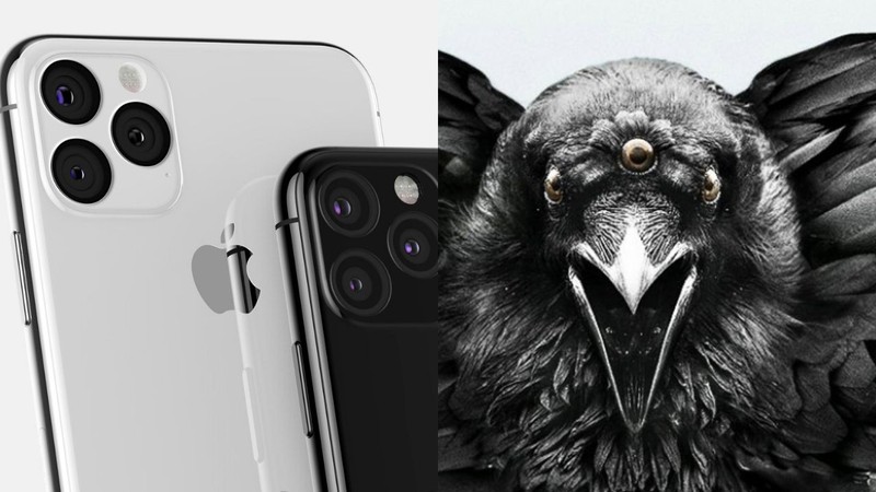 A câmera do novo iPhone 11 e o Corvo de Três Olhos (Foto: Montagem - Reprodução Apple/ Reprodução HBO)