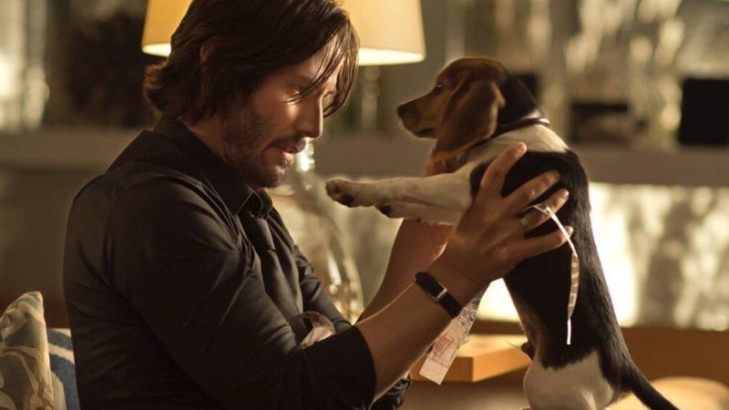 John Wick (foto: reprodução)