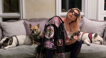 Lady Gaga em casa com os cachorros (Foto: Reprodução/Instagram)