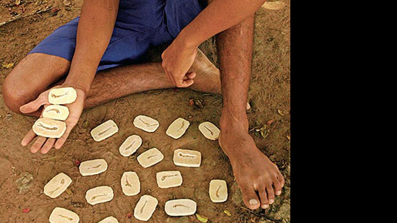 Fósseis de peixes milenares a R$ 0,15 cada, na Chapada do Araripe; veja fotos de outras histórias brasileiras na galeria - André Pessoa