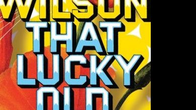 Brian Wilson - That Lucky Old Sun