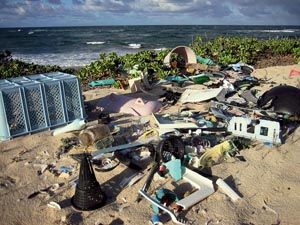 SUZANNE FRAZER/BEACH ENVIRONMENTAL AWARENESS CAMPAIGN HAWAII