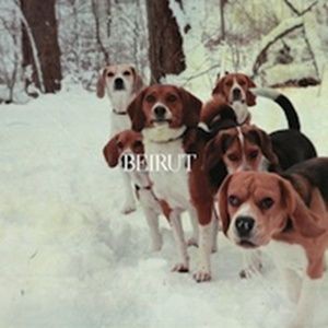 Beirut lança novo single em junho - Reprodução