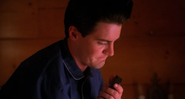 Twin Peaks - galeria