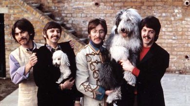 Os Beatles e alguns amigos caninos em 1967; - HENRY GROSSMAN