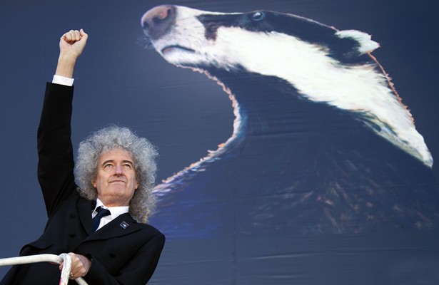 Brian May e texugo - Joel Ryan / AP