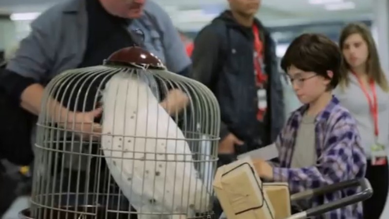 Harry Potter na Penn Station - Reprodução/vídeo