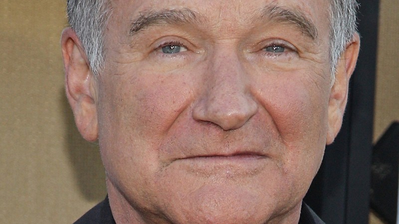 Robin Williams - AP/Paul A. Hebert