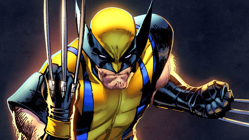 Imagem de Wolverine nas histórias em quadrinho - Divulgação