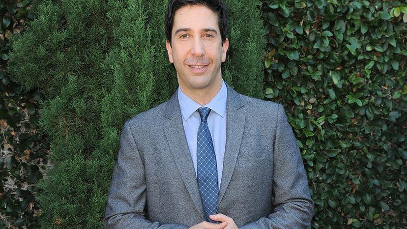 David Schwimmer  - Jordan Strauss/AP