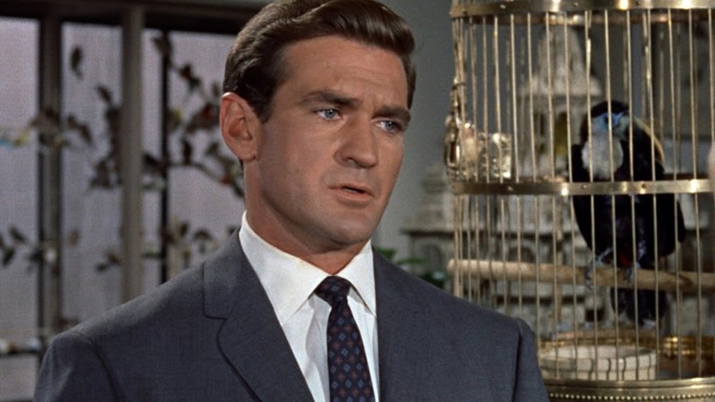 Rod Taylor em cena de <i>Os Pássaros</i> - Reprodução