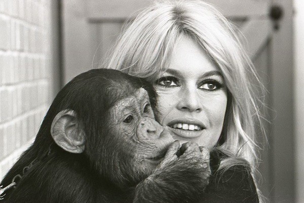 Brigitte Bardot - Léonard de Raemy