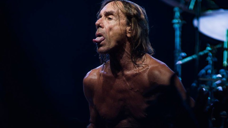 Iggy Pop faz show no Popload Festival 2015 - Fabricio Vianna