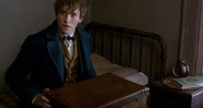 Eddie Redmayne vivendo Newt Scamander, protagonista do filme derivado de <i>Harry Potter</i>, <i>Animais Fantásticos e Onde Habitam</i> (2016) - Reprodução/Vídeo