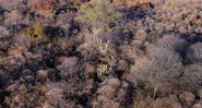 Imagem aérea do Corredor Ecológico Capivara-Confusões, na zona rural da cidade de São Raimundo Nonato, no Piauí - André Pessoa