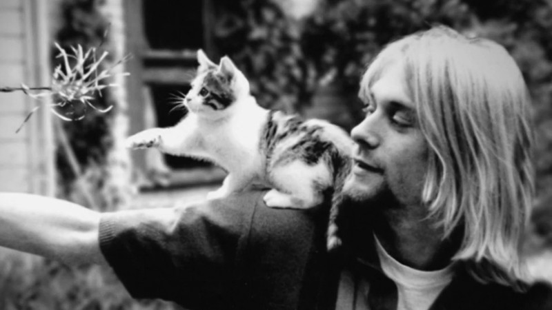 Cobain: Montage of Heck - Netflix fevereiro - Reprodução/Vídeo