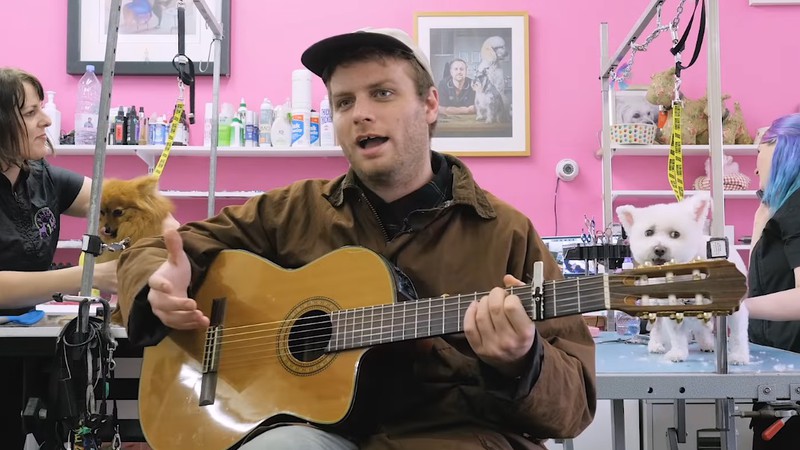 Mac DeMarco tocando "This Old Dog" em um salão de banho e tosa para cachorros - Reprodução