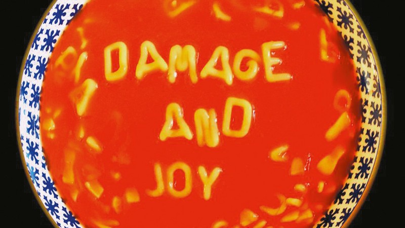 Damage and Joy - Divulgação